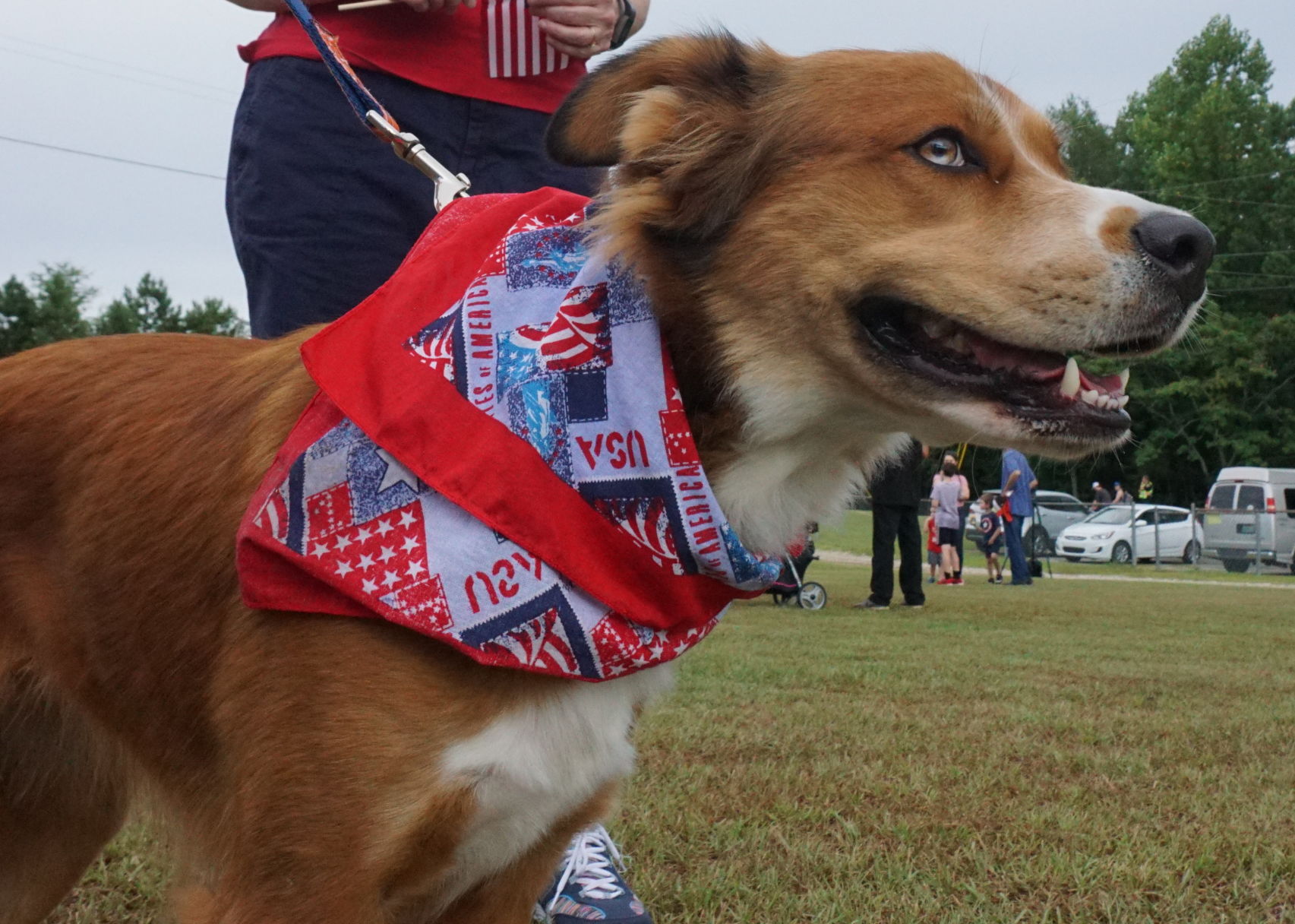 Auburn Fourth of July celebration